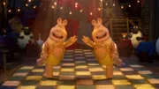 Die Schweine wollen den Tanzpokal um jeden Preis gewinnen und kämpfen wie immer mit unfairen Tricks.