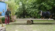 Wie riesig muss ein Hebel sein, um den Bauwagen anzuheben? Fritz Fuchs (Guido Hammesfahr) erprobt mit Hund Keks mittels einer Wippe die Hebelwirkung.
