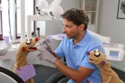 Jan & Henry sind zur Kontrolluntersuchung beim Zahnarzt (Patrick Bach).