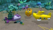 Timmy, Bess und Skid sind unterwegs, um Proben von Lebewesen im Meer zu sammeln.