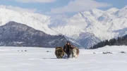 Im unwegsamen Svanetien ist Winter wie Sommer der Ochsenschlitten das verlässlichste Transportmittel.