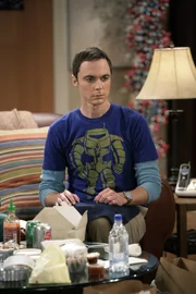 Sheldon (Jim Parsons), Raj und Howard hören eine Grille zirpen. Sheldon wettet mit Howard, dass er aus der Häufigkeit der Zirplaute der Grille auf ihre Art schließen kann ...