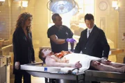 V.l.: Detective Stella Bonasera (Melina Kanakaredes), Dr. Hawkes (Hill Harper) und Detective Mac Taylor (Gary Sinise) obduzieren die Leiche eines ermordeten 19-jährigen Studenten.