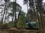 Scene from the documentary Männer & Maschinen Der Baum-Schubser