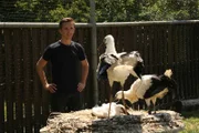 "PUR+"-Moderator Eric Mayer besucht eine Storchenaufzuchtstation. Fast jeder dritte Storch verletzt sich auf seiner Reise in den Süden. In der Aufzuchtstation werden sie wieder aufgepäppelt.
