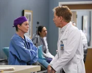 Ellen Pompeo (Dr. Meredith Grey), Greg Germann (Dr. Thomas Koracick).