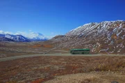 Eine Panoramafahrt durch Alaskas Wildnis: Nur mit Bussen darf man den Denali-Nationalpark befahren.
