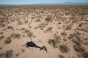 Nogales, AZ: Shadow of a flying helicopter in the desert. Helicopters have been a great aid to Customs and Border Protection agents searching for smugglers and illegal immigrants.