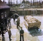 Im Konzentrationslager Buchenwald entstanden kurz nach der Befreiung durch Aliierten Streitkräfte im April 1945 Bilder vom Schrecken nationalsozialistischer Vernichtungspolitik.; Befreites Konzentrationslager Buchenwald, April 1945