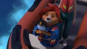 Paddington (m.)