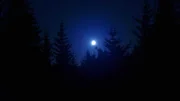 Am zweiten Weihnachtsfeiertag im Jahr 1980 um drei Uhr morgens beobachteten Militärangehörige bei ihrer Patrouille vermeintlich die Landung außerirdischen Flugobjekts im Rendlesham Forest.