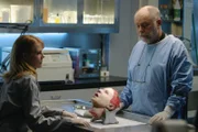 In einem Zeitungskasten wird der Kopf einer Frau gefunden. Dr. Al Robbins (Robert David Hall) und Catherine (Marg Helgenberger) beginnen mit der makabren Autopsie.