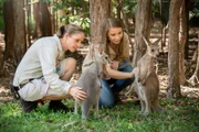 Bindi Irwin and zookeeper Claudia Zweck with Indigo and Violet.