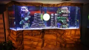 6,800-liter fish tank with an artificial rock landscape.