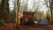 Moss covered trees, ferns and orange and brown leaf litter surround Sophie's finished tiny house, as an uncommon window of light breaks through the dull, gray winter sky, in Seattle, Washington, as seen on Tiny House, Big Living.