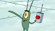 Plankton