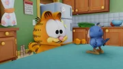 Garfield ist überglücklich. Denn ihm ist ein kleiner Blauvogel ins Haus geflattert, den er vor einiger Zeit persönlich ausgebrütet hat!