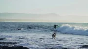 surfers