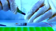 Fall "Einbetoniert": Bringt die DNA-Analyse eines am Tatort gefundenen Zigarettenstummel eine Spur zu dem Mörder?