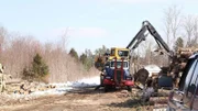 Crane picking up wood at wood pile.