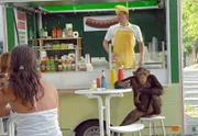 Der entlaufene Schimpanse Ringo macht an einem Bratwurststand in der Leipziger Innenstadt eine kleine Pause.