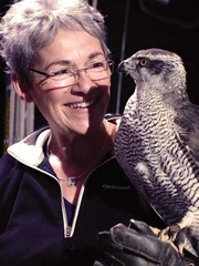 How do owl’s hunt in total darkness? – Photo of the owl and its owner, Rose Buck, getting ready to fly through the poles in darkness.