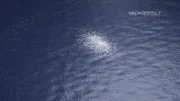 Als die Piloten der US-Marine im November 2004 vor der Küste San Diegos ankamen, sahen sie, dass das Wasser an einer Stelle Blasen bildete und weiß schimmerte. Anscheinend bewegte sich unter Wasser ein großes Objekt.