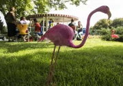 Im Eiscafé Flamingo haben die Einsteiner einen neuen Treffpunkt gefunden.