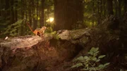 Die Wildlife-Eventproduktion "Hidden Kingdoms - Im Königreich der kleinen Tiere" ist ein faszinierender Ausflug in die Welt sympathischer Mini-Helden. Ein mikroskopischer Blick auf ein Streifenhörnchen in den Wäldern Nordamerikas z.B. bringt den Zuschauern einen neuen und tiefen Einblick in die aufregende Welt der kleinen Tiere.