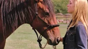 Heartland - Komme was wolle - Amy versucht ein Pferd zu beruhigen