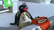 Guetnachtgschichtli Pingu Staffel 6 Folge 9 Pingu – Pappmaschee Pingu ist voller Pappmaschee.  Copyright: SRF/Joker Inc., d.b.a., The Pygos Group