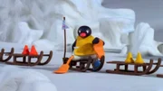 Guetnachtgschichtli  Pingu  Staffel 6  Folge 5  Pingu – Der Schlittenführerschein  Pingu bei der Schlittenprüfung.    Copyright: SRF/Joker Inc., d.b.a., The Pygos Group