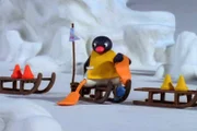 Guetnachtgschichtli Pingu Staffel 6 Folge 5 Pingu – Der Schlittenführerschein Pingu bei der Schlittenprüfung.  Copyright: SRF/Joker Inc., d.b.a., The Pygos Group
