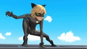 Cat Noir