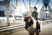 Befreit! Pinja (Sina Michel) reitet durch den Hamburger Hafen in die Freiheit.