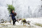 Ohne Weihnachtsbaum läuft nichts. Der grantige Bauer hat Fritz Fuchs (Guido Hammesfahr) sogar eine Hacke geliehen. um einen Baum auf der Alm auszubuddeln.
