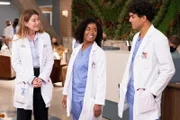 Grey's Anatomy
Staffel 19
Folge 3
Ellen Pompeo als Dr. Meredith Grey, Alexis Floyd als Dr. Simone Griffith, Niko Terho als Dr. Lucas Adams
SRF/ABC Studios