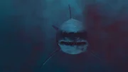 Ausgestorbener Riesenhai: Der Megalodon - das größte Raubtier aller Zeiten. Der Ur-Hai wurde bis zu 20 Meter lang und 50 Tonnen schwer.