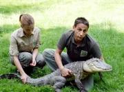 Tierpfleger Conny (Thorsten Wolf, rechts) und Tierpflegerin Anett (Anna Bertheau) machen sich Sorgen um Krokodil Konrad.