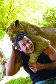Dave Salmoni mit der Löwe