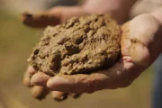 Lehm ist als Baustoff lokal verfügbar und vollständig abbaubar, durch seinen geringen CO2 Fußabdruck ist er der ideale Baustoff um den Klimawandel nicht noch weiter anzuheizen.