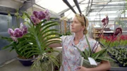 Marei Karge züchtet Orchideen in Dahlenburg.