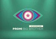Promi Big Brother - Die Late Night Show - Logo