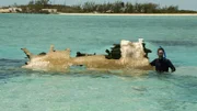 George Kourounis mit Schnorchel am Flugzeugwrack auf den Bahamas