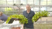 Gärtner Stefan Fleischle setzt auf tropische Biopflanzen.
