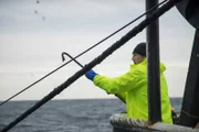Tim Kennedy helps pull nets on the Travis and Natalie fishing vessel in Rhode Island.
