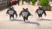 Was hat es mit den drei mysteriösen Katzen auf sich, die Astricat auf Schritt und Tritt überwachen?