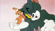 In dieser Serie bekriegen sich Katz und Maus, was das Zeug hält. Egal ob Mausefallen, diverse Schlaginstrumente oder Tomaten als Wurfgeschosse; Tom (re.) und Jerry gehen nie die Ideen aus, um sich gegenseitig das Leben schwer zu machen.