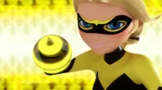 Quinn Bee
