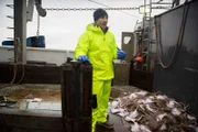 Tim Kennedy learns to sort through a haul on the Travis and Natalie fishing vessel in Rhode Island.